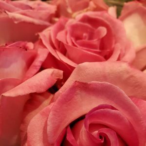 Meet your Posher, Orawan